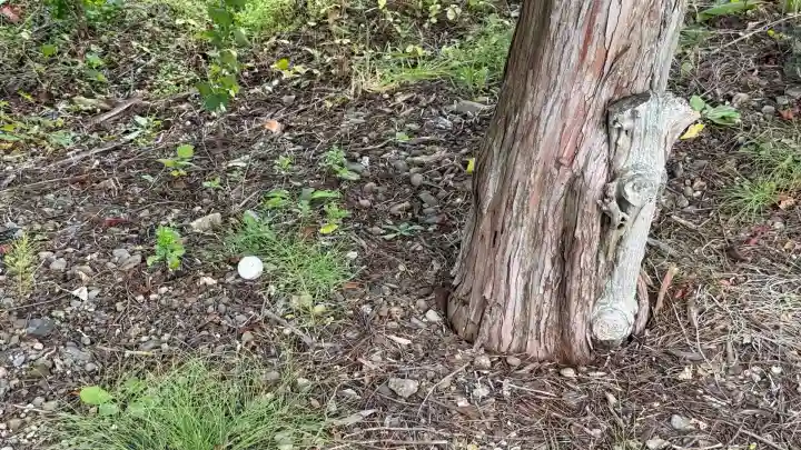 川村稲荷神社(北海道)