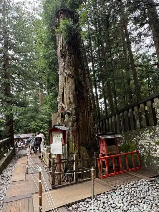 日光東照宮奥宮拝殿(栃木県)