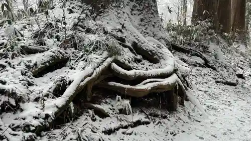 戸隠神社九頭龍社(長野県)