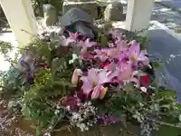 杉杜白髭神社の手水舎