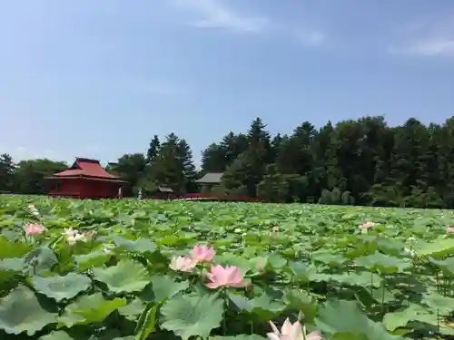 猿賀神社の自然