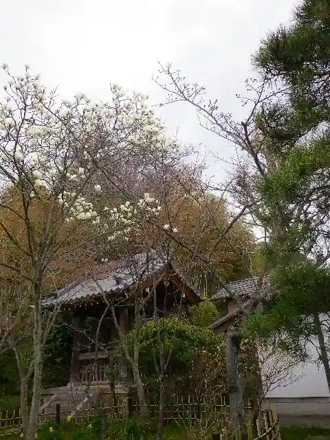 浄光明寺のその他建物