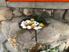 生田神社の手水