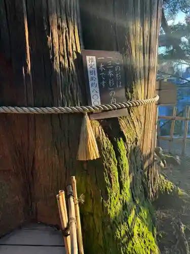 戸隠神社中社(長野県)