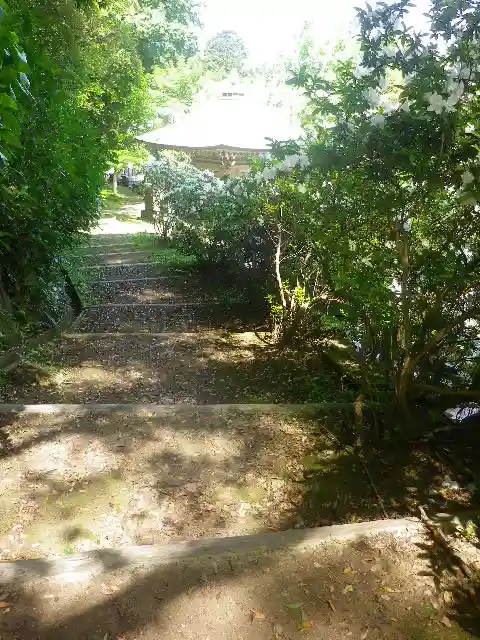 安國論寺(安国論寺)の自然