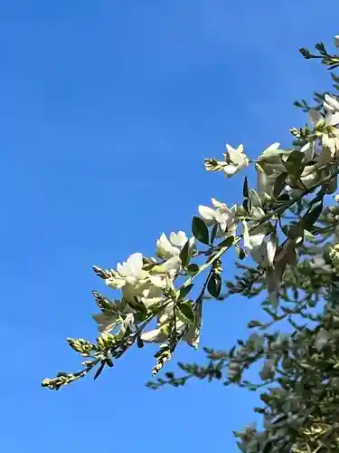 国宝 大法寺の自然