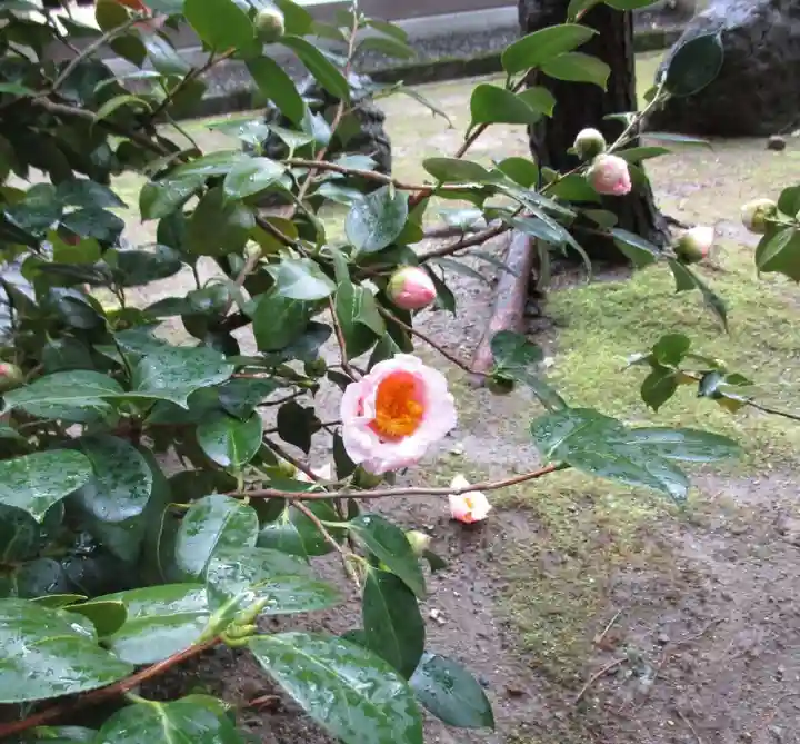 城南宮(京都府)