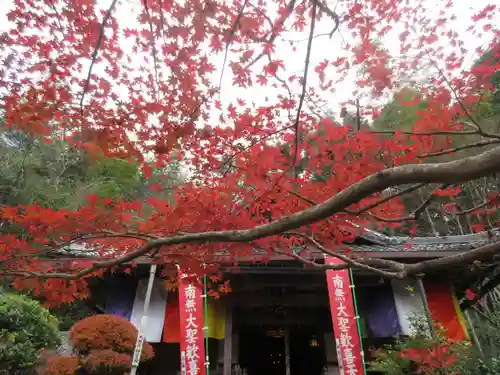 山科聖天 雙林院（双林院）　の自然