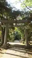 赤坂氷川神社(東京都)
