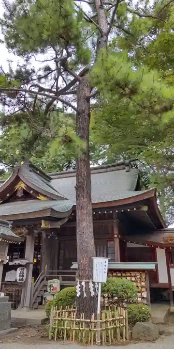 前鳥神社(神奈川県)