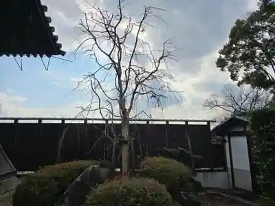 吉田寺(奈良県)