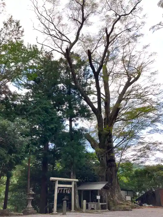 國津神社(三重県)