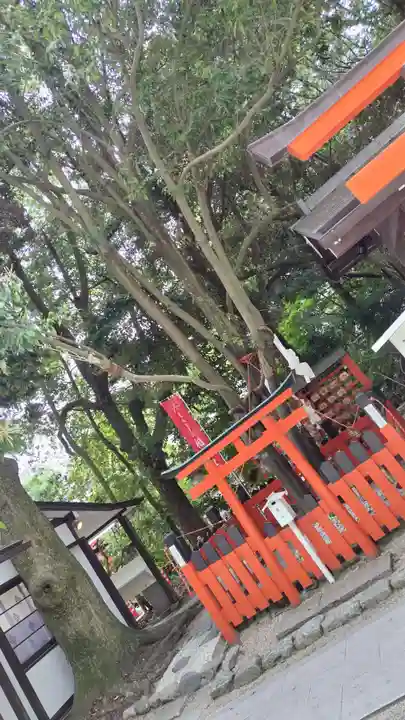 賀茂御祖神社(下鴨神社)(京都府)