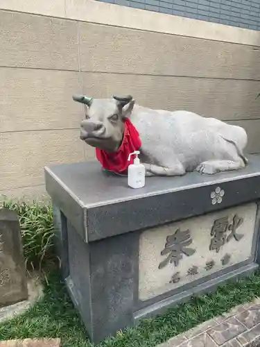 櫻天神社の狛犬