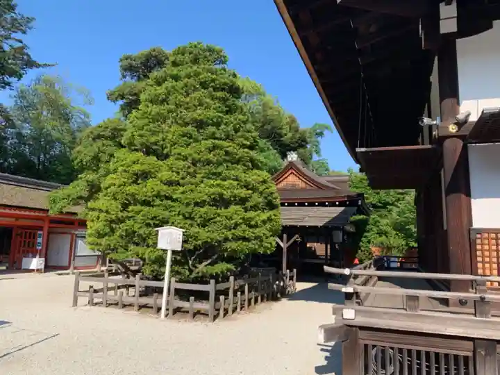 賀茂御祖神社(下鴨神社)のその他建物