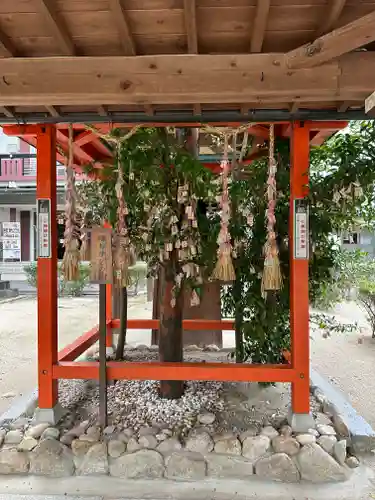 佐嘉神社・松原神社(佐賀県)