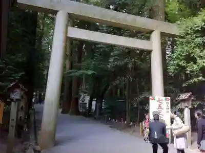 椿大神社の鳥居