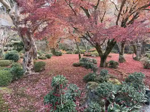 圓光寺(京都府)