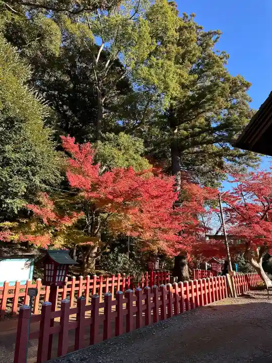 麻賀多神社奥宮(千葉県)