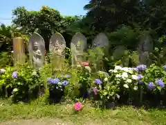 般若寺 ❁﻿コスモス寺❁(奈良県)