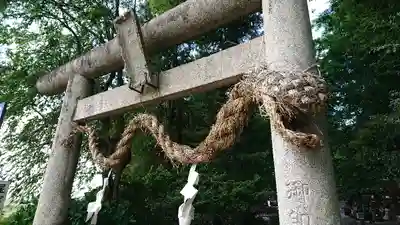 下野 星宮神社の鳥居