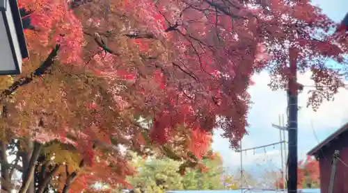 志波彦神社・鹽竈神社(宮城県)