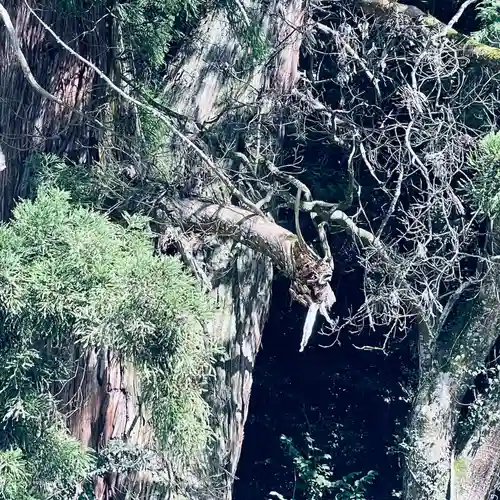 高岡神社(岡山県)
