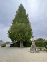 寶蔵寺(射和寺)(三重県)