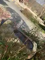 八坂神社の手水舎