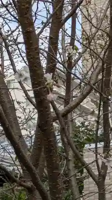 妙蓮寺(京都府)