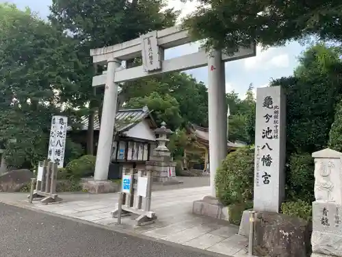 亀ケ池八幡宮の鳥居