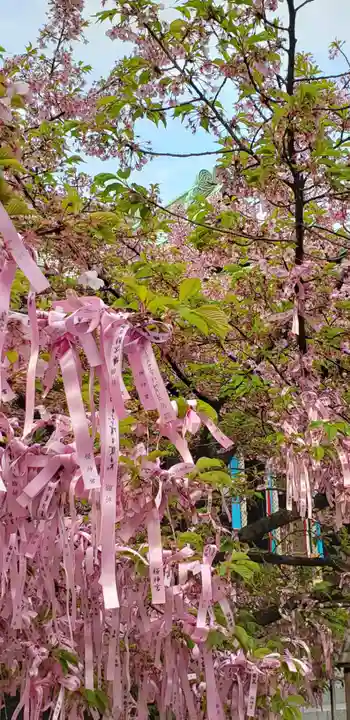 桜神宮のその他建物