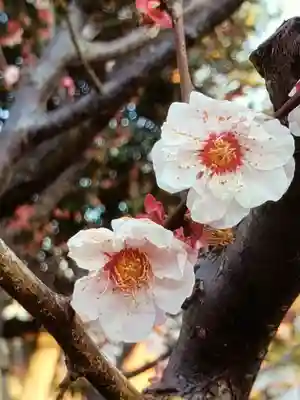 瑞円寺(東京都)