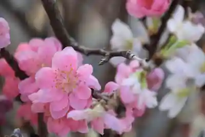 熊野福藏神社の手水舎