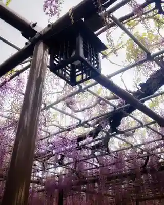 秋葉神社(愛知県)