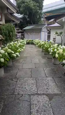 坐摩神社(大阪府)