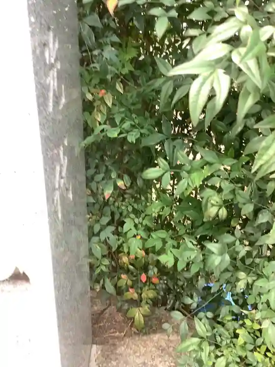 清峯院のその他建物