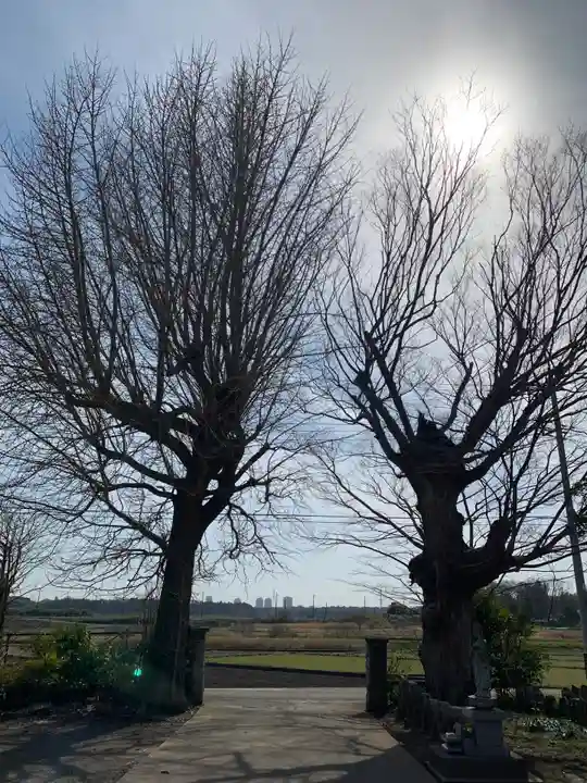 長円寺(千葉県)