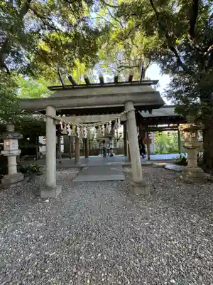川越氷川神社(埼玉県)
