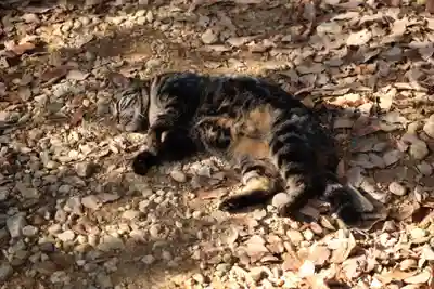 玉野御嶽神社(愛知県)