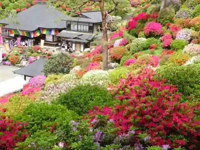 塩船観音寺の自然