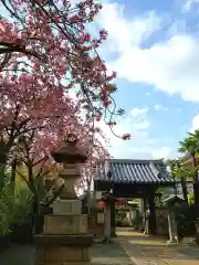 荘厳寺の山門