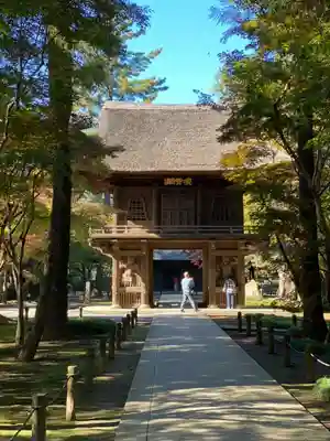 平林寺(埼玉県)