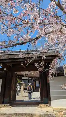 仁和寺(京都府)