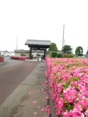 真光寺(千葉県)