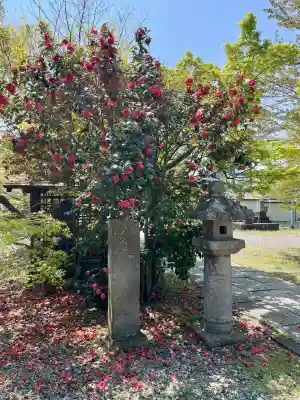 法華寺(福島県)