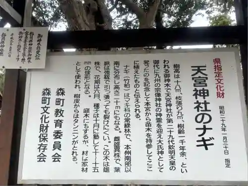 天宮神社(静岡県)