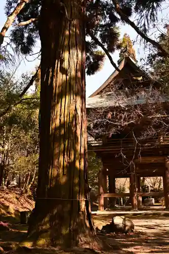 御調八幡宮(広島県)