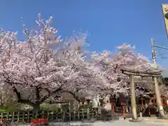 六孫王神社(京都府)