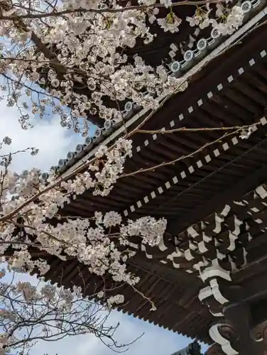 くろ谷 金戒光明寺(京都府)